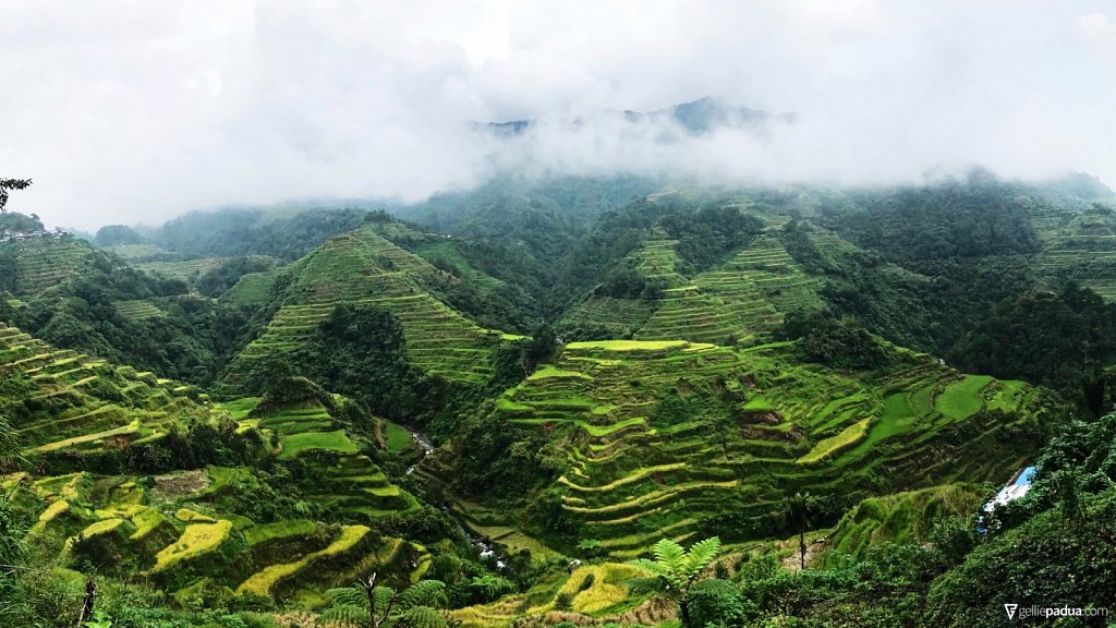 Rice Terraces Viewpoint